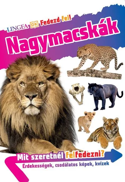 Fedezd fel! - Nagymacskák akció