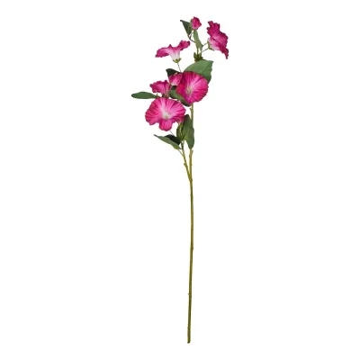 FLORISTA hajnalpír 76cm , meggypiros akció