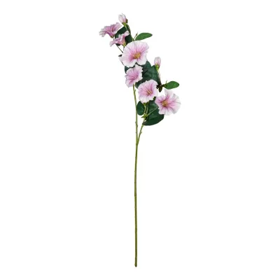 FLORISTA hajnalpír 76cm , lila/fehér akció