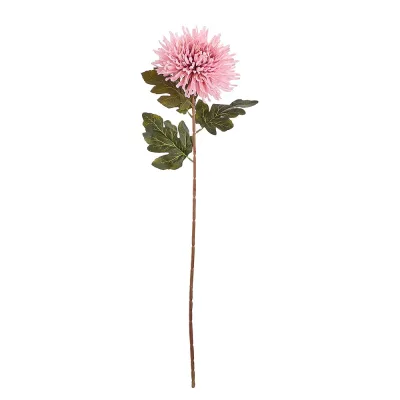 FLORISTA krizantém, rózsaszín 73cm akció