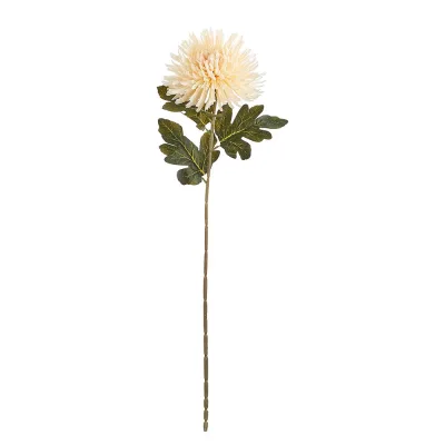 FLORISTA krizantém, krémszín  73cm akció