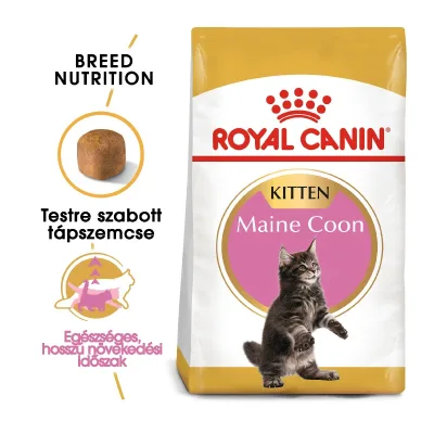 Royal Canin Maine Coon Kitten - Maine Coon kölyökmacska száraz táp 2 kg akció