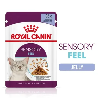 Royal Canin Sensory Feel - zselés nedves táp felnőtt macskák részére 12 x 85 g akció