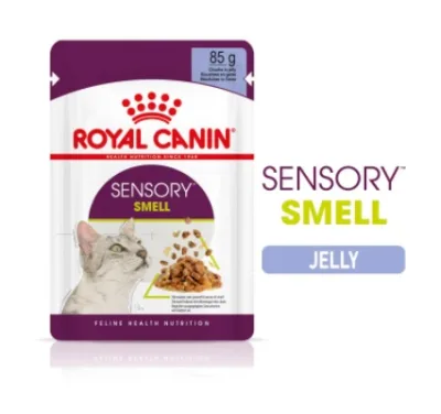Royal Canin Sensory Smell - zselés nedves táp felnőtt macskák részére 12 x 85 g akció